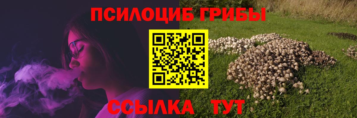 продажа наркотиков  Псилоцибиновые грибы мицелий  Вход с VPN  Калининград 